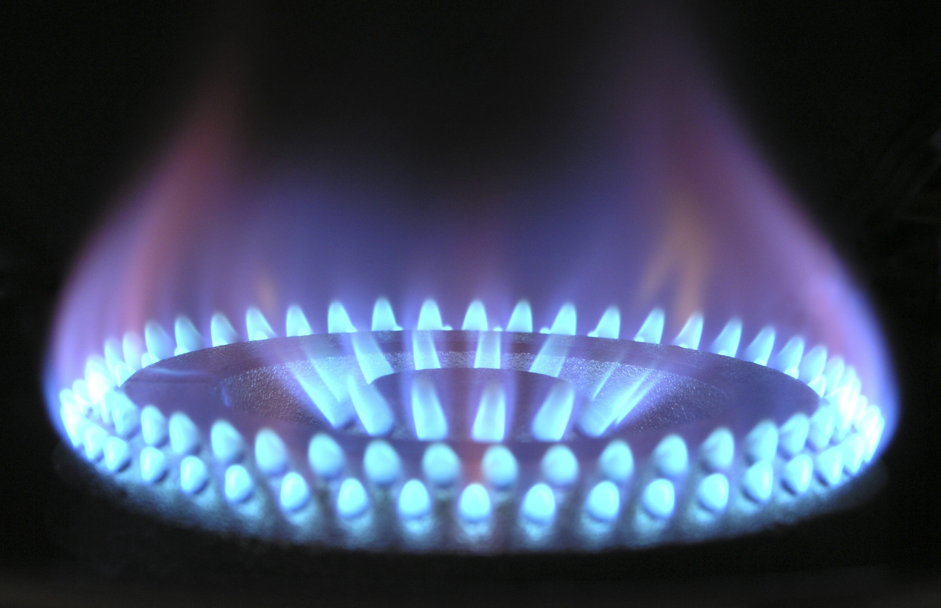 Appliance411 FAQ: What should my gas range's flames look like?